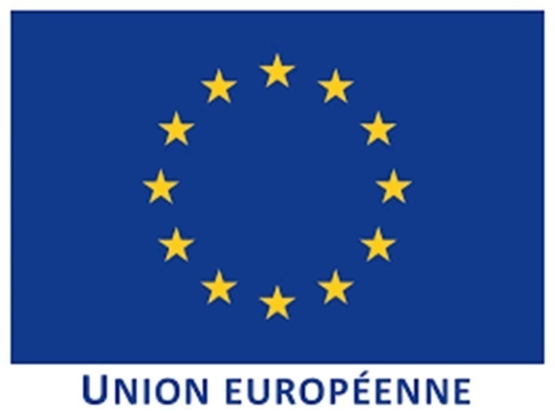Postulez dès maintenant pour l’Appel à Contributions de l’Union européenne