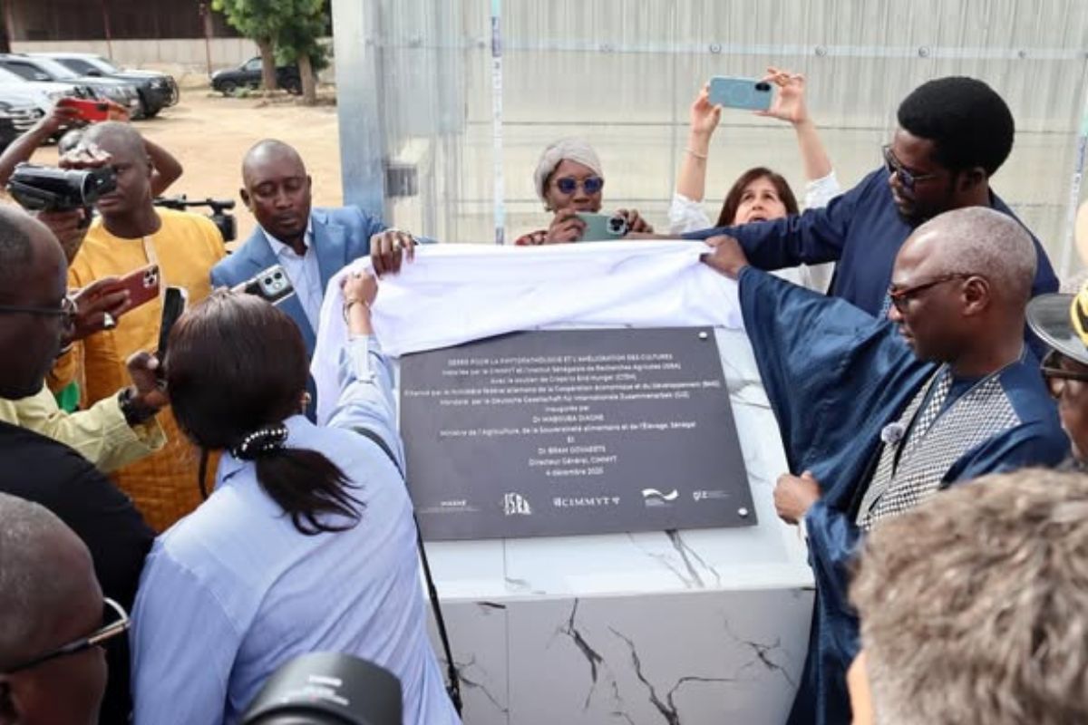 Sénégal : inauguration d’une serre high-tech, une première en Afrique de l’Ouest