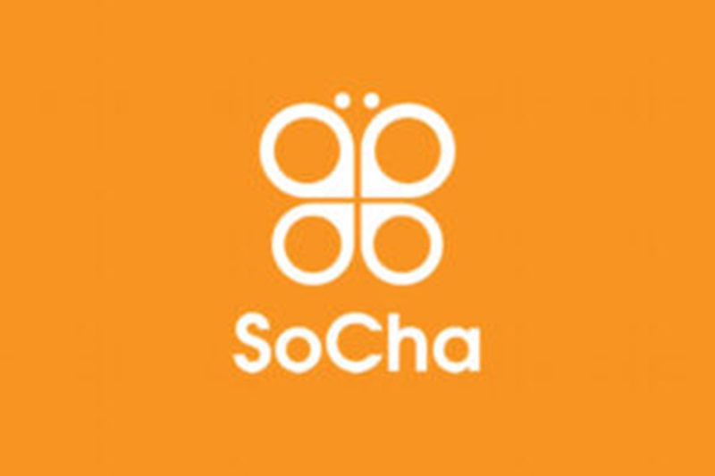 Travailler à l’ONG internationale SoCha LLC (24 Décembre 2025)