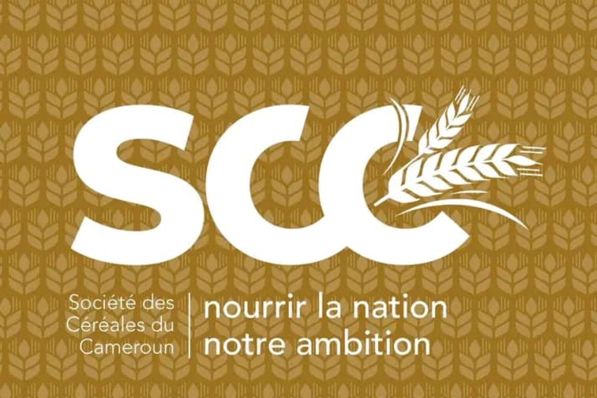 La Société des céréales du Cameroun recrute pour ce poste (23 janvier 2026)