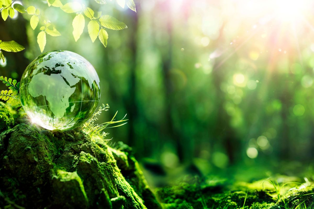 Avis de recrutement au Fonds Mondial pour la Nature (WWF) – (16 février 2026)