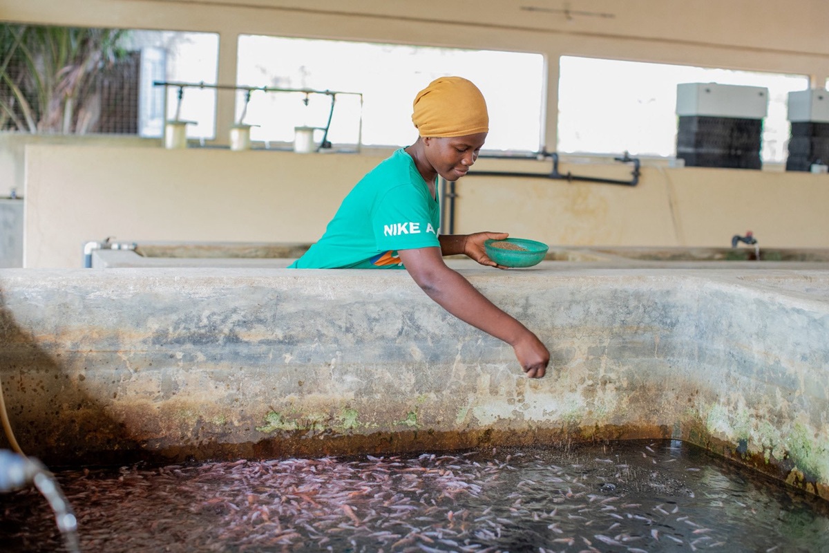 Alimentation : en 2025, la FAO a aidé le Togo avec 3,5 milliards FCFA