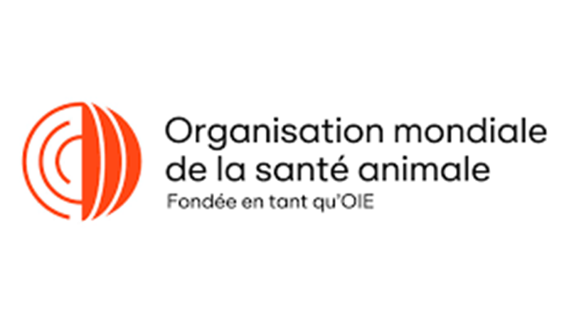 L’Organisation mondiale de la santé animale (OMSA) recrute un stagiaire (14 février 2026)