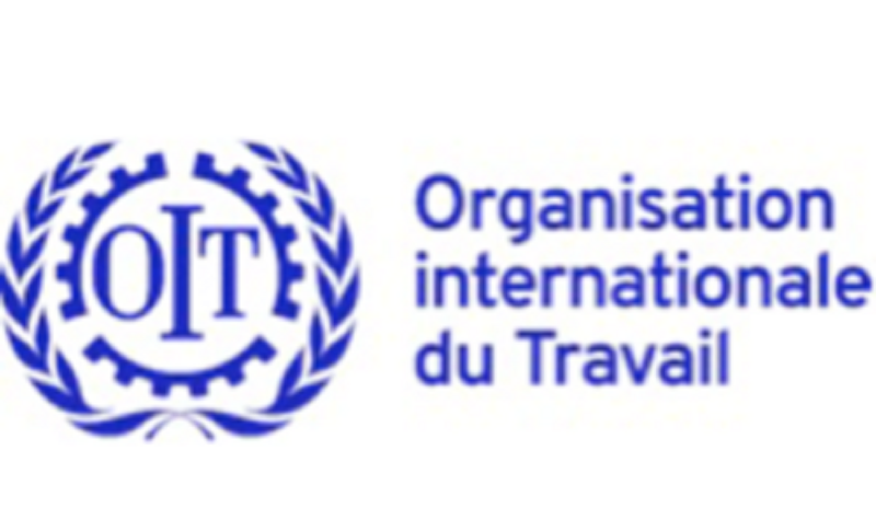 Le Bureau de l’OIT – Organisation Internationale du Travail recrute pour ces 3 postes (18 février 2026)