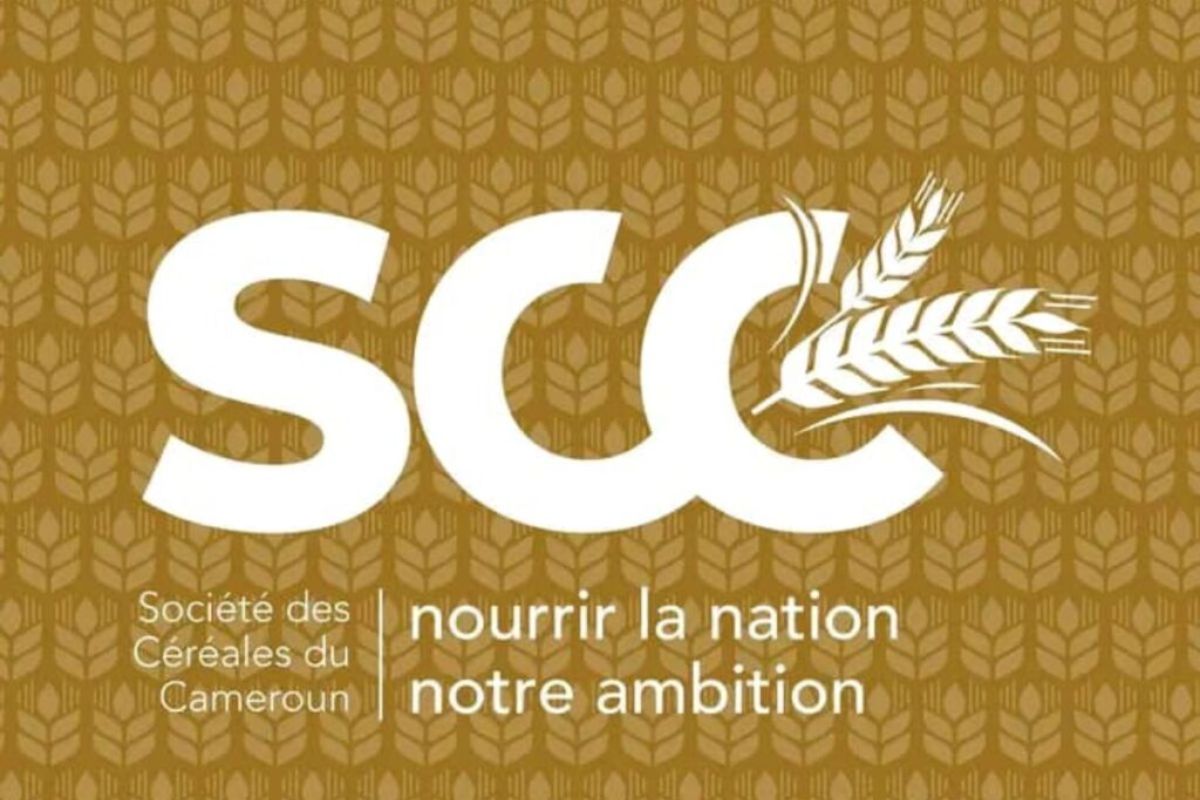 Offre d’emploi à la Société des céréales du Cameroun / Contrat CDI (16 février 2026)