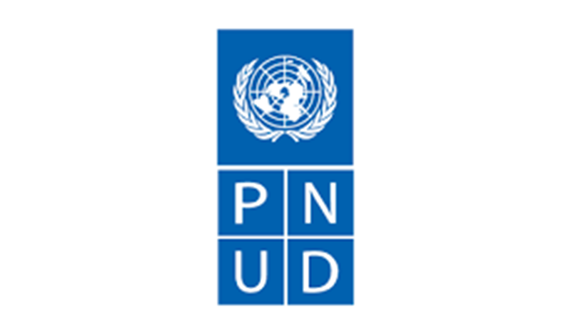 Programme de volontaires du PNUD : soumettez vos candidatures (03 Février 2026)
