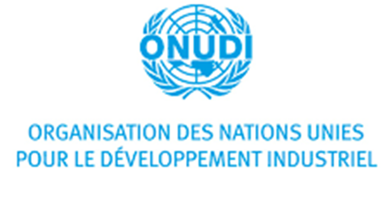 Recrutement à l’ONUDI – Organisation des Nations Unies pour le développement industriel (11 février 2026)