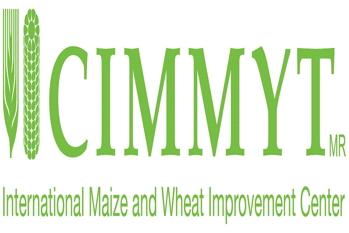 Postulez pour ce poste à l'organisation internationale de pointe CIMMYT (18 février 2026)