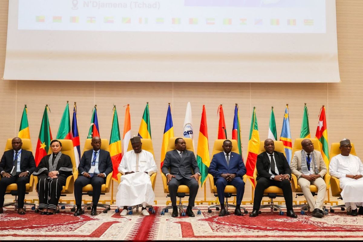 Togo / Droit des affaires : le Togo prend la tête de l’OHADA