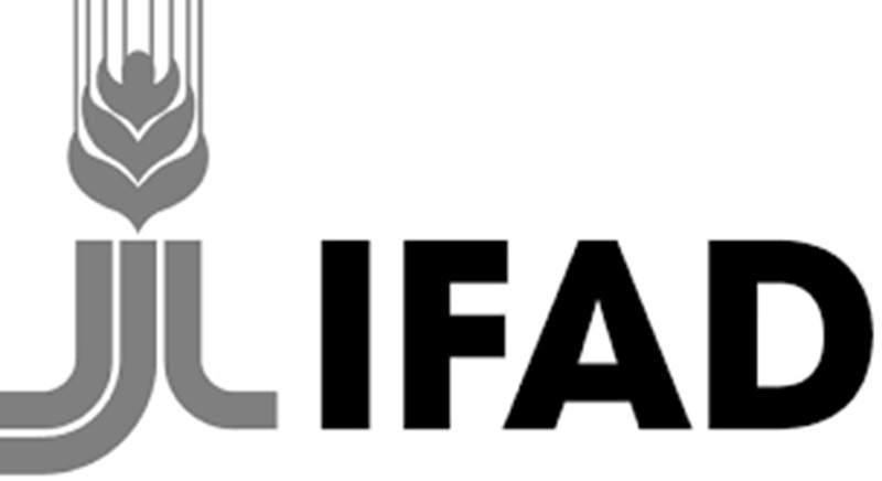 APPEL A CANDIDATURES POUR UN POSTE AU FIDA (27 mars 2026)