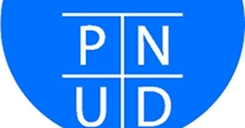 Appel à Participation du Programme des Nations Unies pour le Développement (PNUD)