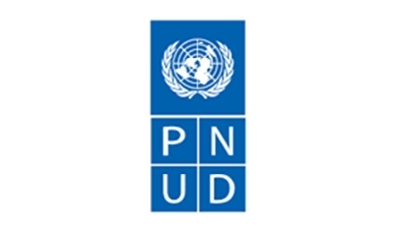 Appel à candidatures : Rejoignez le programme d’incubation panafricain pour les startups AgriTech du PNUD