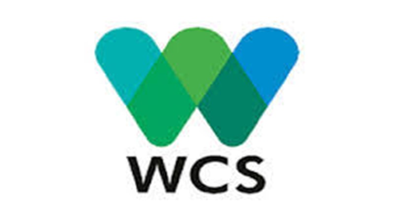 CANDIDATEZ À CE STAGE RÉMUNÉRÉ À L’ORGANISATION AMÉRICAINE WCS (20 mars 2026)