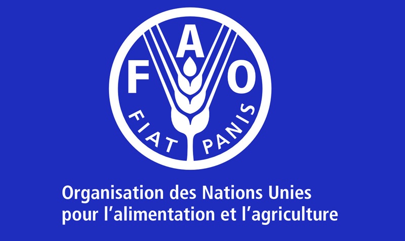 NOUVELLE OPPORTUNITE AU BUREAU DE LA FAO (23 Mars 2026)