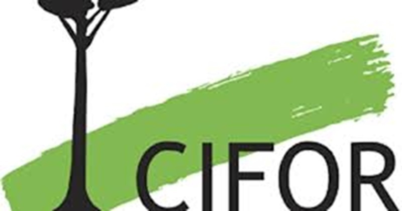 OPPORTUNITE DE STAGE AU CENTRE CIFOR-ICRAF (27 mars 2026)