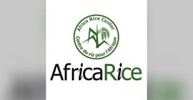 Postulez aux différentes offres d’emploi au Centre du riz pour l’Afrique (AfricaRice) (31 Mars 2026)