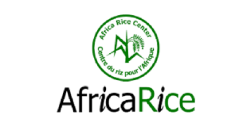 Candidatez pour ces nouveaux postes au Centre du Riz pour l’Afrique (AfricaRice) – (26 avril 2026)