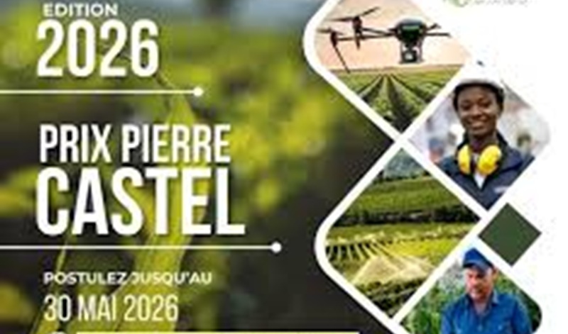 Concours panafricain : appel à candidatures Prix PIERRE CASTEL Édition 2026