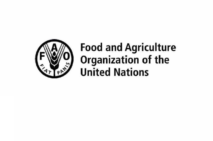 Formation en ligne gratuite de la FAO avec certificat pour booster votre carrière (22 Avril 2026)