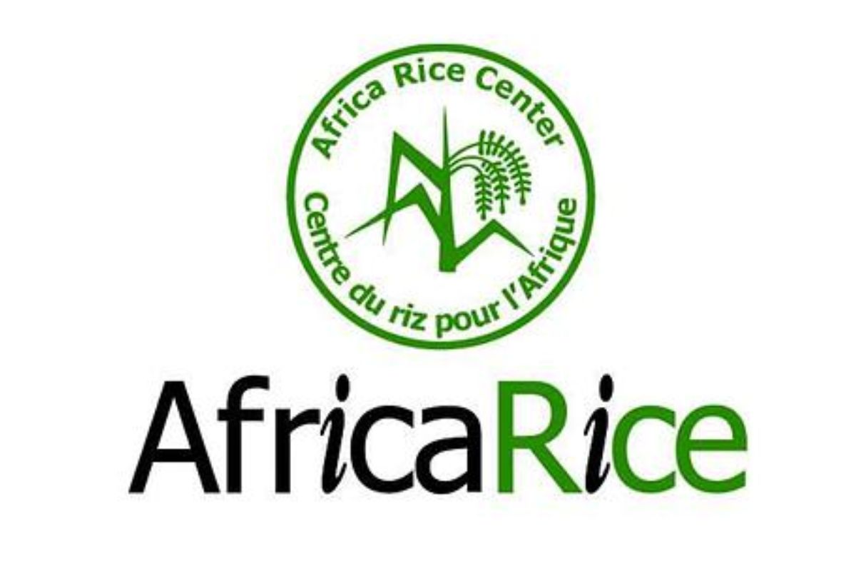 Le Centre du Riz pour l’Afrique (AfricaRice) recrute : plusieurs postes à pourvoir (21 avril 2026)