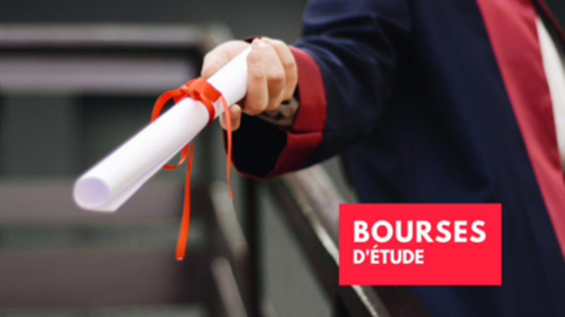 Côte d’Ivoire : les bourses d’études au Brésil 2027 ouvertes