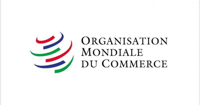 PROGRAMME JEUNES PROFESSIONNELS 2027 DE L’ORGANISATION MONDIALE DU COMMERCE (OMC) : appel à candidatures