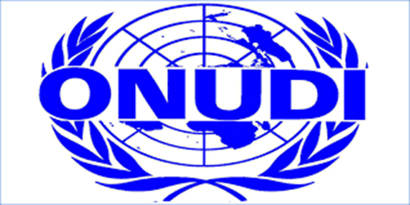 RECRUTEMENT à l’ONUDI – Organisation des Nations Unies pour le Développement Industriel (21 avril 2026)