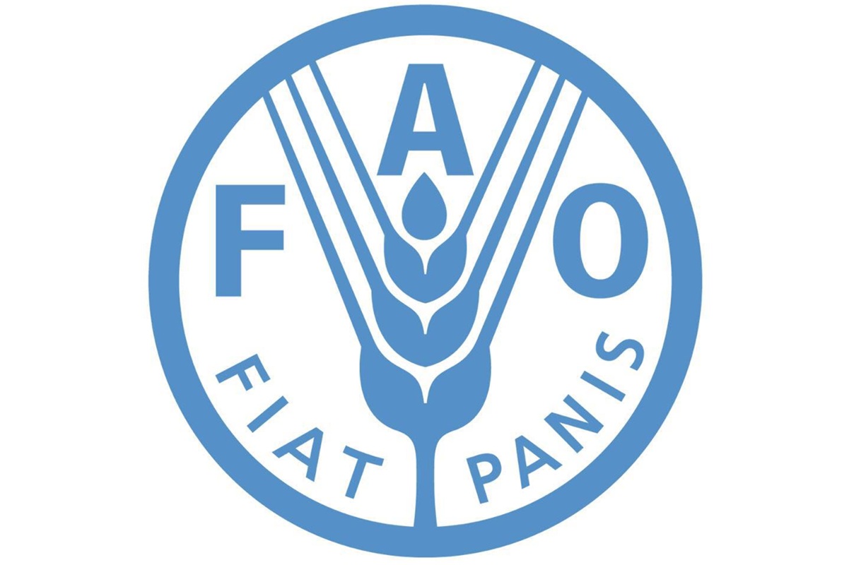 Commerce et nutrition : formation en ligne et gratuite de la FAO Recrutement à la FAO, l’Organisation des Nations Unies pour l’alimentation et l’agriculture (23 avril 2026)