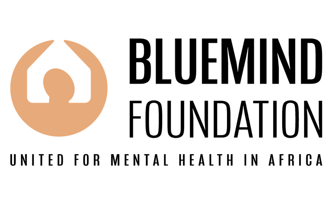 POSTES DISPONIBLES A Bluemind foundation (11 mai 2026)