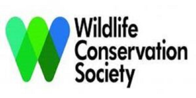 Nouveau poste à pourvoir à l’ONG Wildlife Conservation Society WCS (28 Mai 2026)