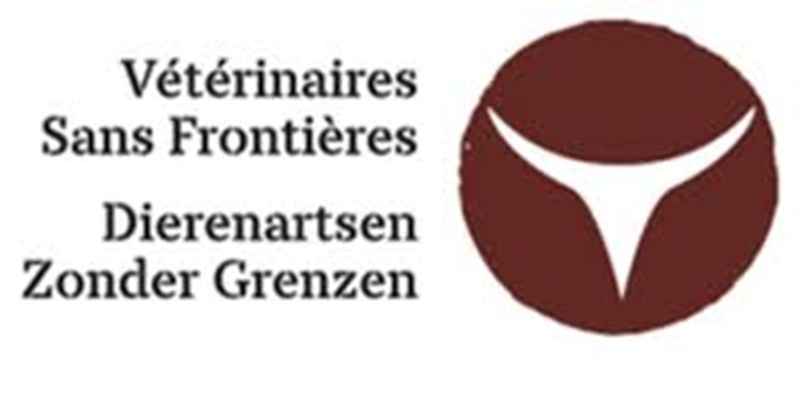 PLUSIEURS POSTES A POURVOIR A L’ONG VSF-Belgique (24 mai 2026)