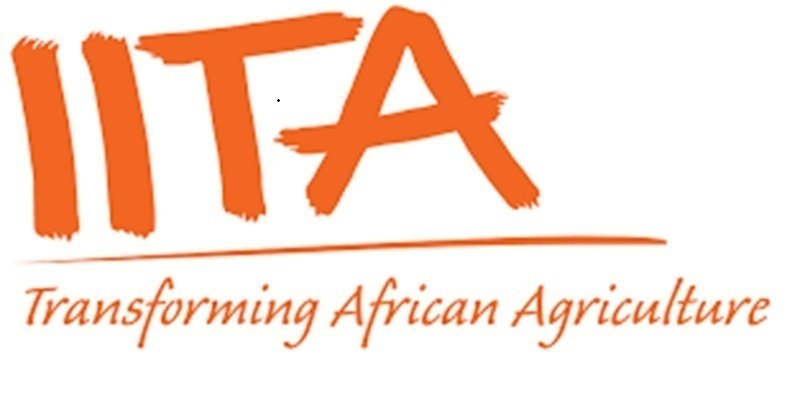 POSTULEZ pour un Stage à l’Institut International d’Agriculture Tropicale (IITA) – (13 mai 2026)