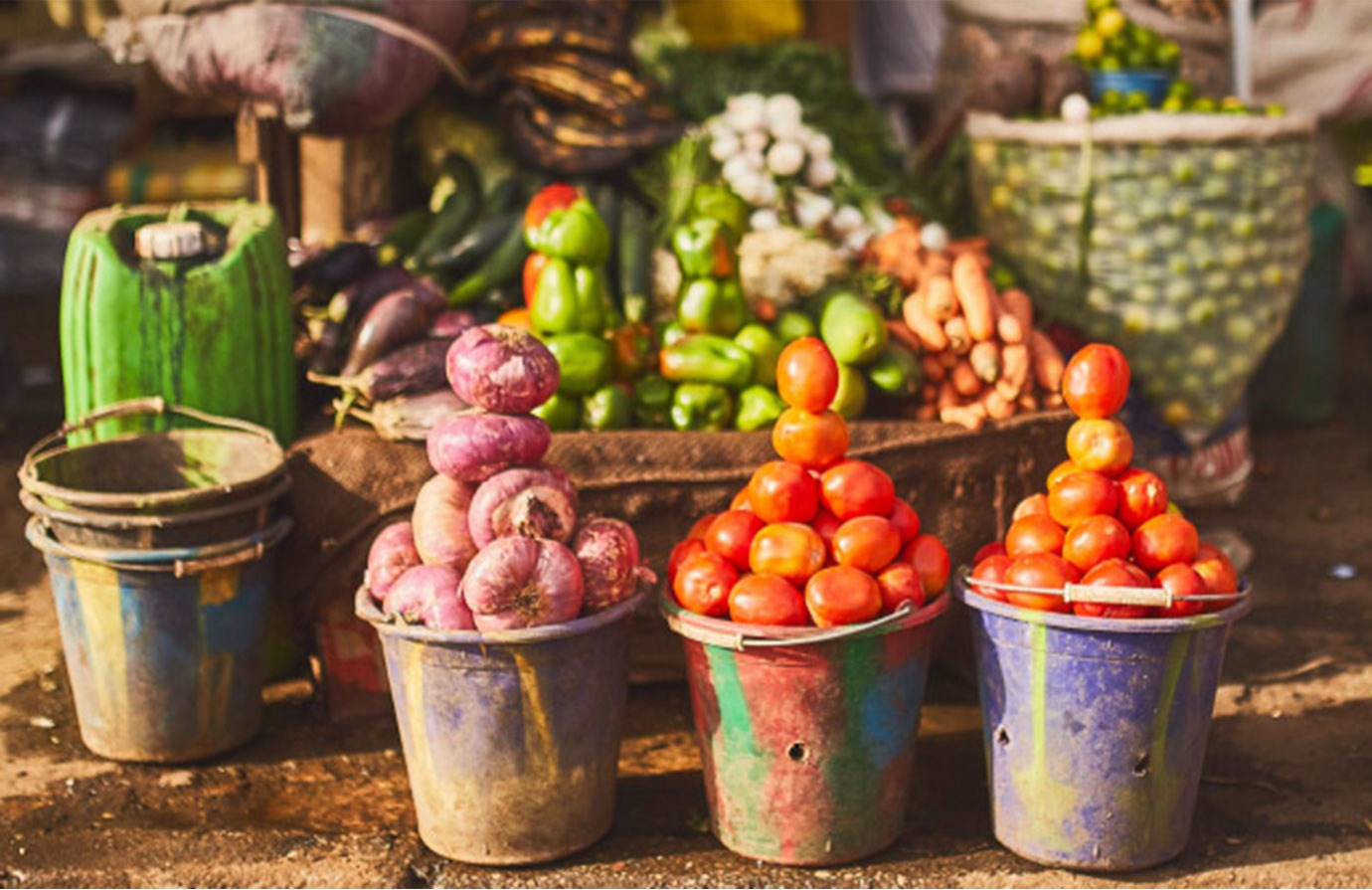 5 cours gratuits de la FAO pour trouver du travail dans le domaine de l’agriculture