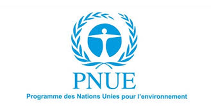 AVIS DE RECRUTEMENT AU BUREAU DU PNUE (01 juin 2026)