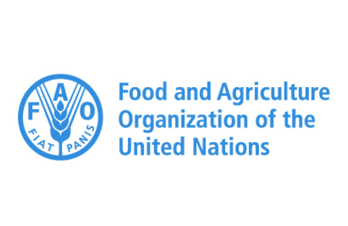 CANDIDATURES POUR DE NOUVEAUX POSTES AU BUREAU DE LA FAO (02 Juin 2026)