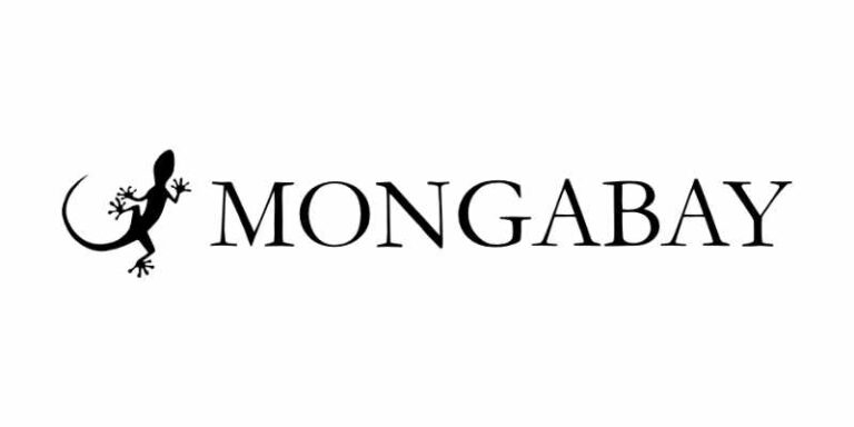 Candidatez au bourses Mongabay dès maintenant