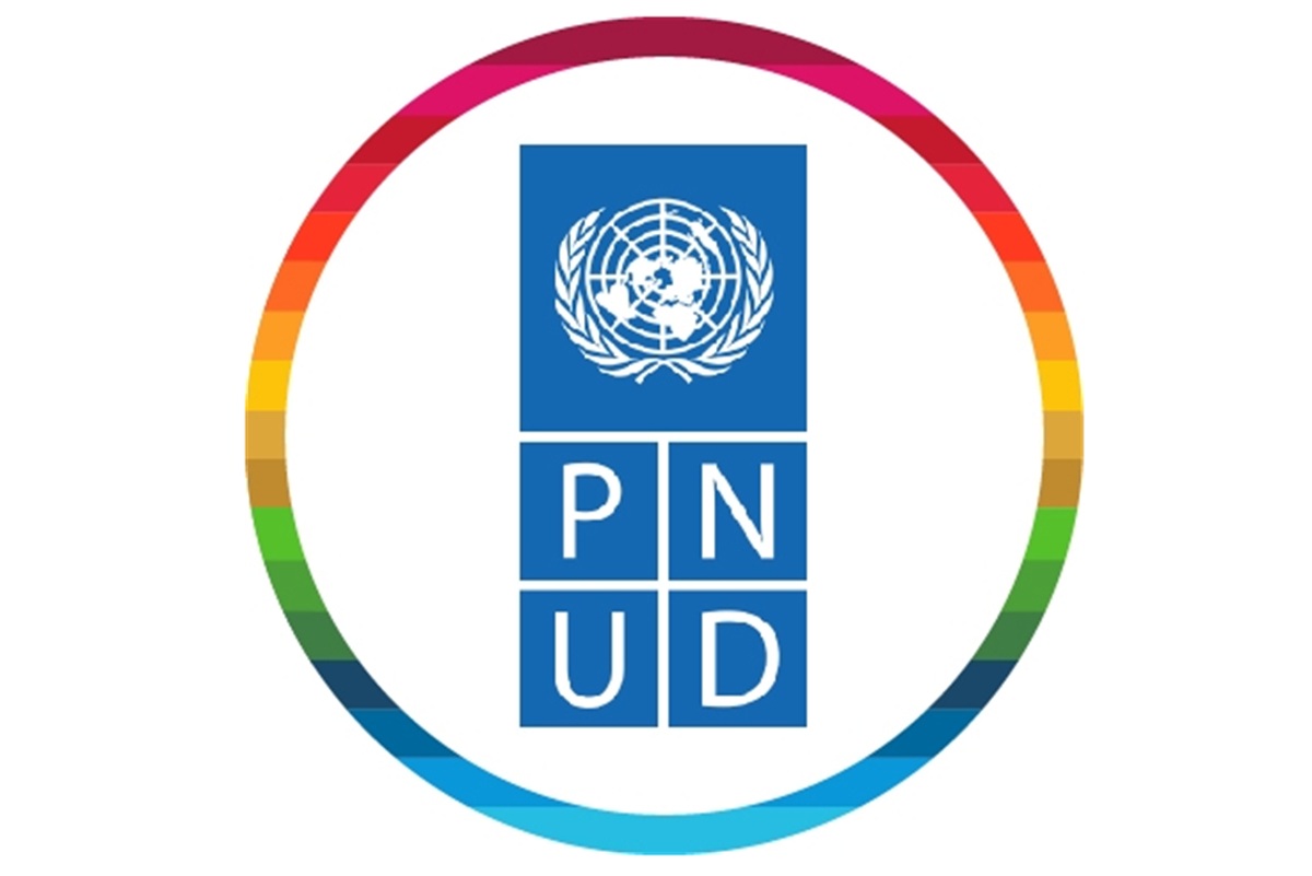 Offre de stage au PNUD 03 septembre 2026