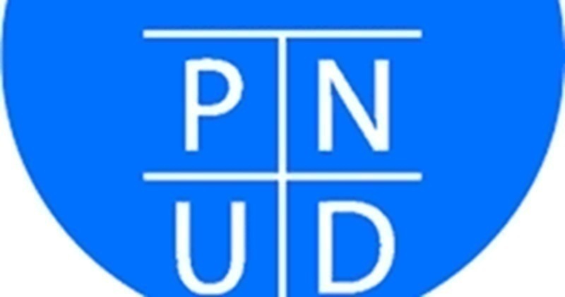 LE PNUD RECRUTE POUR CES 07 POSTES (25 juin 2026)