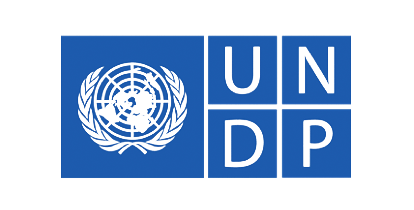 Grosse opportunité : Appel à Candidatures du Programme des Nations Unies pour le Développement (PNUD)-(11 juillet 2026)