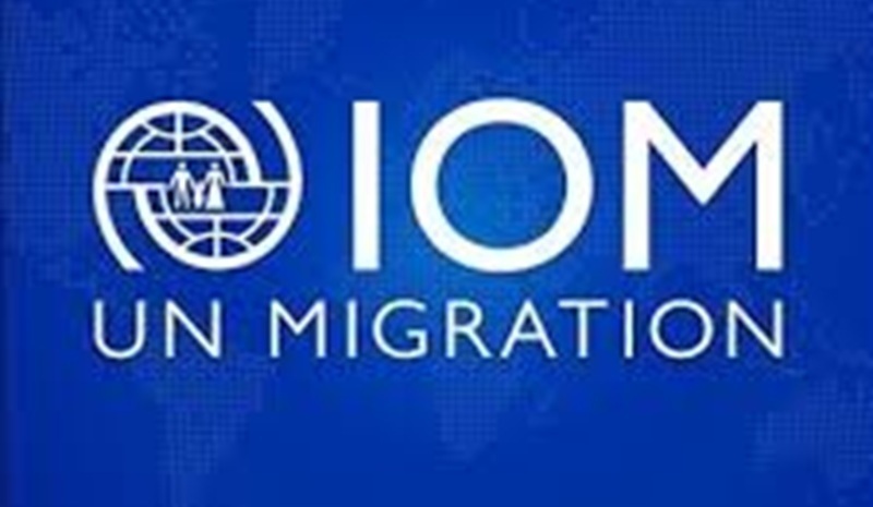 OPPORTUNITE DE STAGE AU BUREAU DE L’OIM (11 juin 2026)