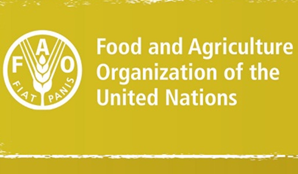 OPPORTUNITE D’EMPLOI A LA FAO (1er juin 2026)