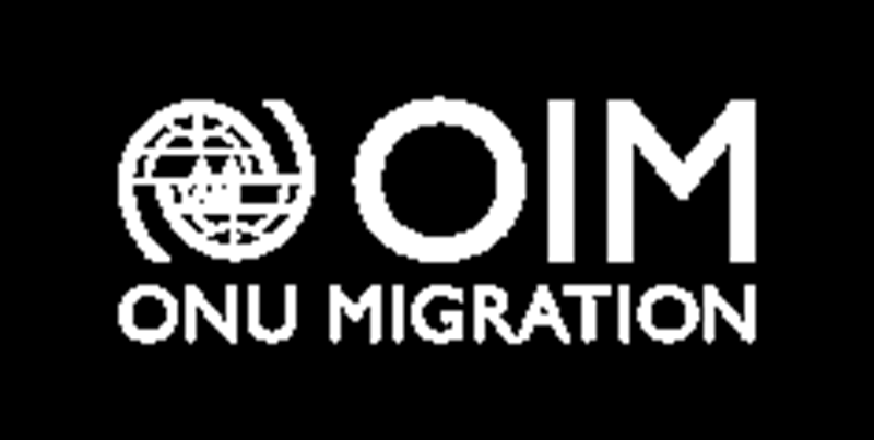 PROGRAMME DE VOLONTARIAT DE L’OIM : veuillez soumettre vos candidatures (06 Juin 2026)