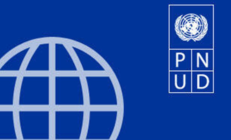 PROGRAMME DE VOLONTARIAT HUMANITAIRE DU PNUD : candidature (29 Juin 2026)