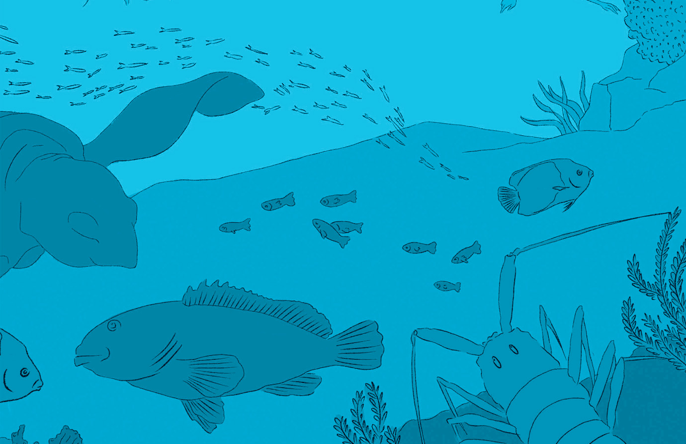 Pêche maritime : 3 cours gratuits de la FAO