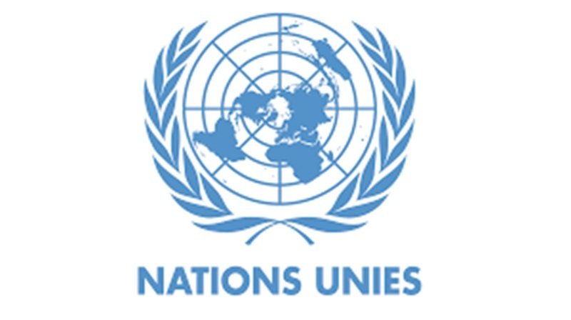 Poste à pourvoir au Secrétariat des Nations Unies (ONU) – (14 juin 2026)
