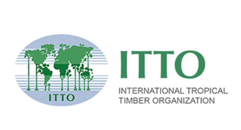 Programme de bourses 2026 de l’OIBT – Organisation Internationale des Bois Tropicaux : jusqu’à 10.000 USD pour vos études