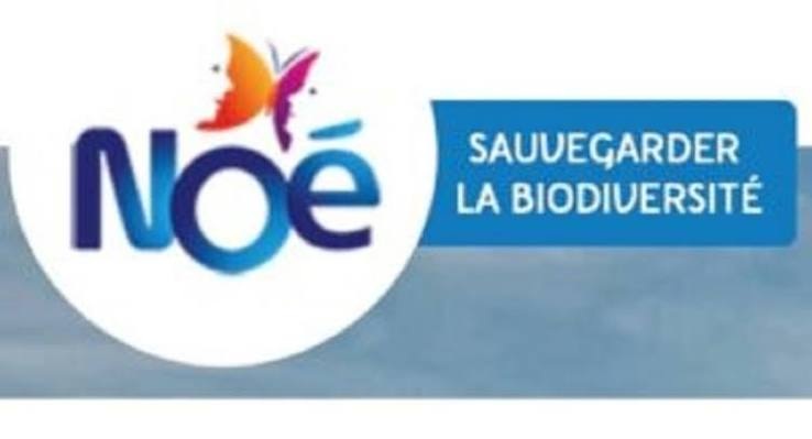 Saisissez cette opportunité de Stage à l’ONG internationale NOE (23 juin 2026)