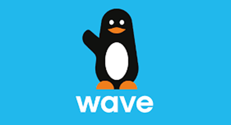 Stage de premier cycle de WAVE : appel à candidature