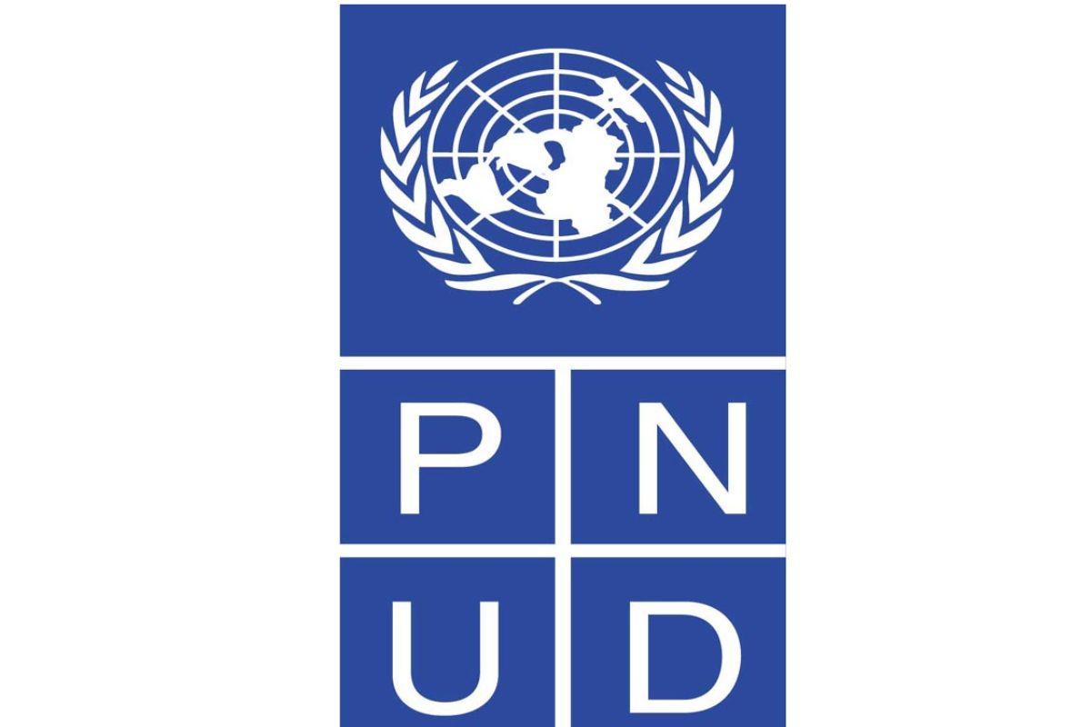 Le PNUD recrute pour ces postes - 25 août 2026