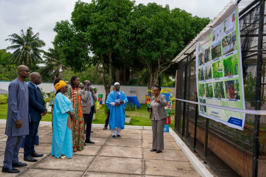 Au Togo, la FAO lance une serre aquaponique, un moyen plus économique de cultiver